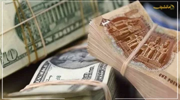 تطور جديد.. استمرار تماسك الجنيه أمام الدولار في 2025 خبراء يوضحون أبرز التحديات والفرص 1